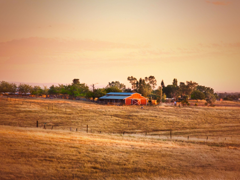 Calming Farm Background Sounds to Relax and Focus (Single)