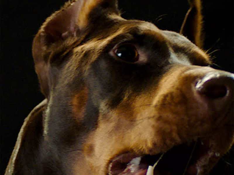 KIM BYUNG HOON (Single)