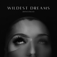 Wildest Dreams (Single)