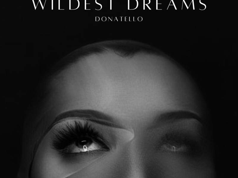Wildest Dreams (Single)