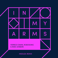 In My Arms (Meduza Remix) (Single)