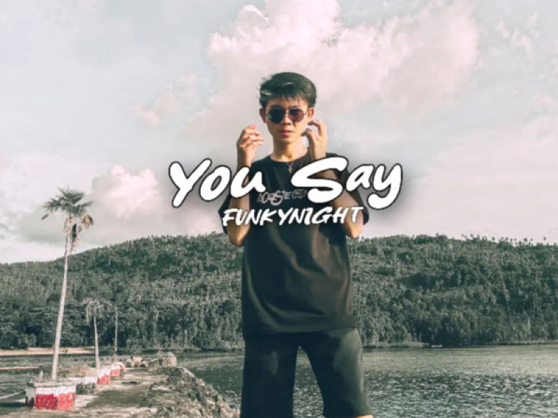 You Say Fvnkynight (Single)