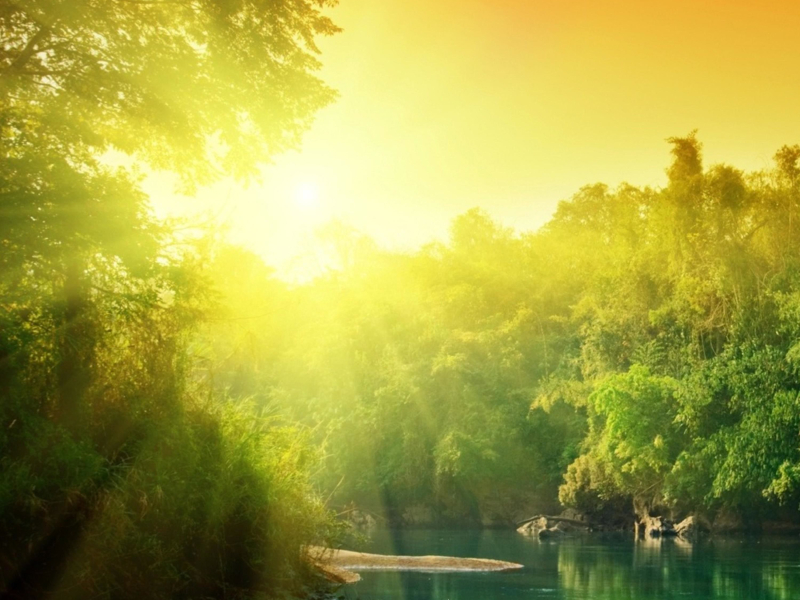 ραѕѕιση мσνємєηт σηє (Single)