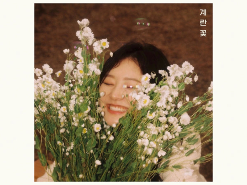 계란꽃_세번째 (Single)