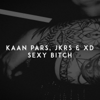 Sexy Bitch (Single)