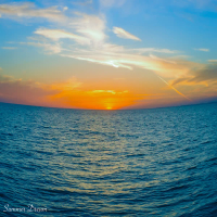 Summer Dream (Single)