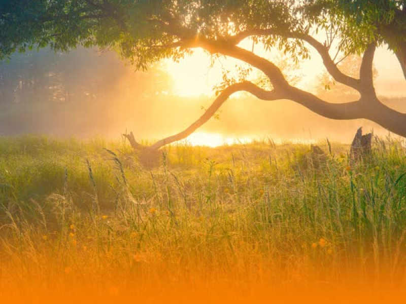 Calming Nighttime Nature Sounds With Ambient Healing Music And Soothing Piano For Deep Relaxation (Single)