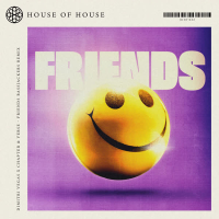 Friends (Bassjackers Remix) (Single)