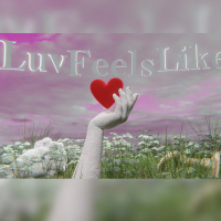 Luv Feels Like (Single)