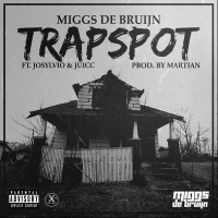 Trapspot (Single)