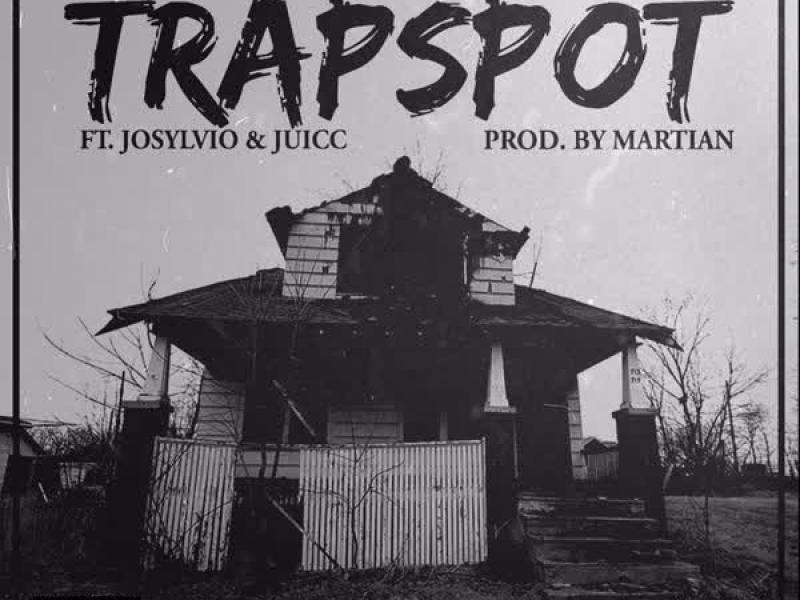 Trapspot (Single)