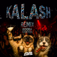 Kalash Remix (Single)