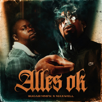 Alles ok (Single)