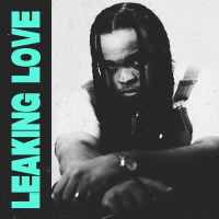 Leaking Love (Single)