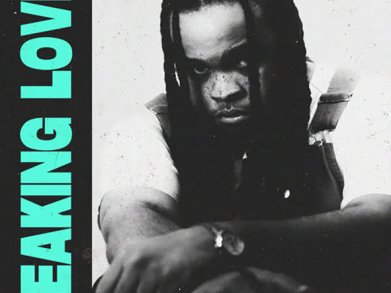 Leaking Love (Single)