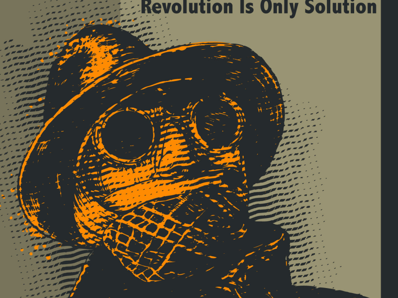 Revolution Is Only Solution