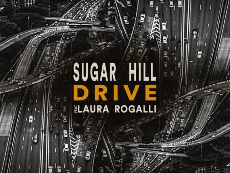 Drive (feat. Laura Rogalli) (Single)