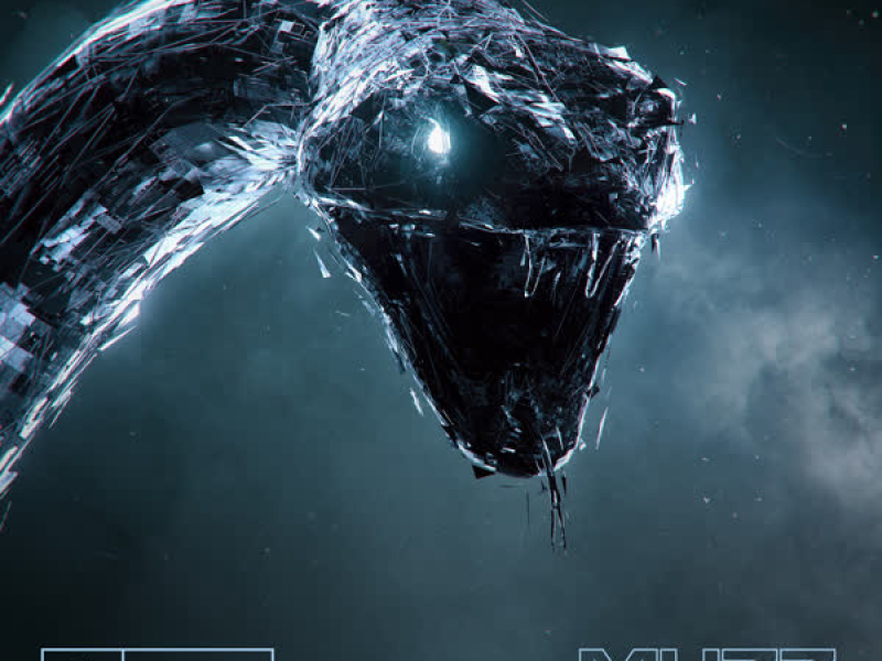 The Warehouse (Single)