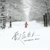 雪又落枝头 (你不在我左右) (Single)