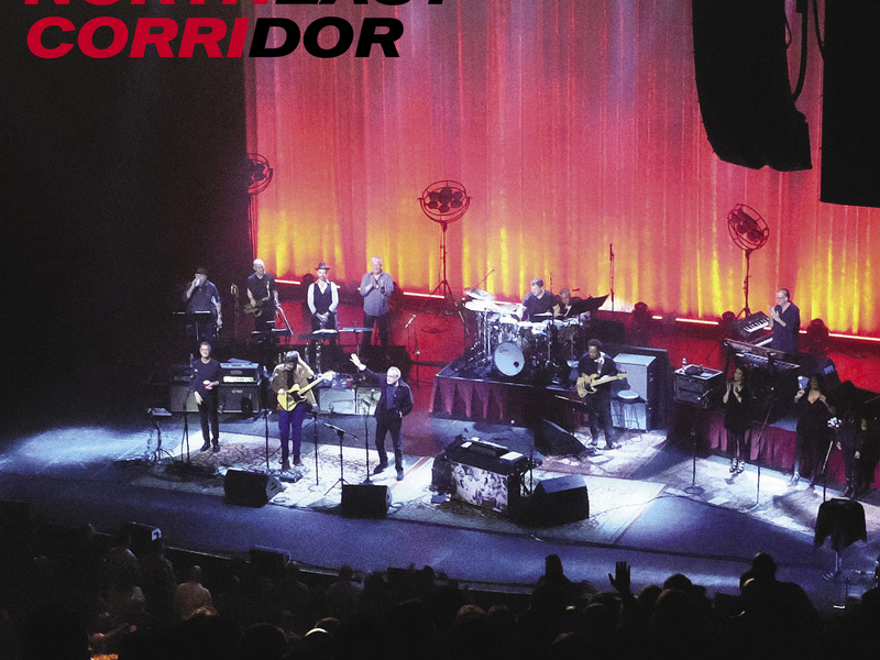 Reelin' In The Years (Live) (Single)