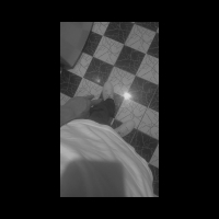 Desabafo speed (Single)