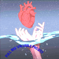 Full and Valuable Project