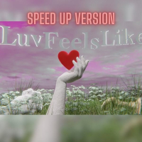 Luv Feels Like (Speed Up Version) (Single)