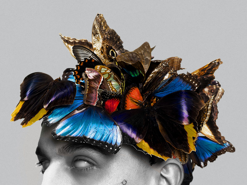 Pułapka Na Motyle (Deluxe Edition)