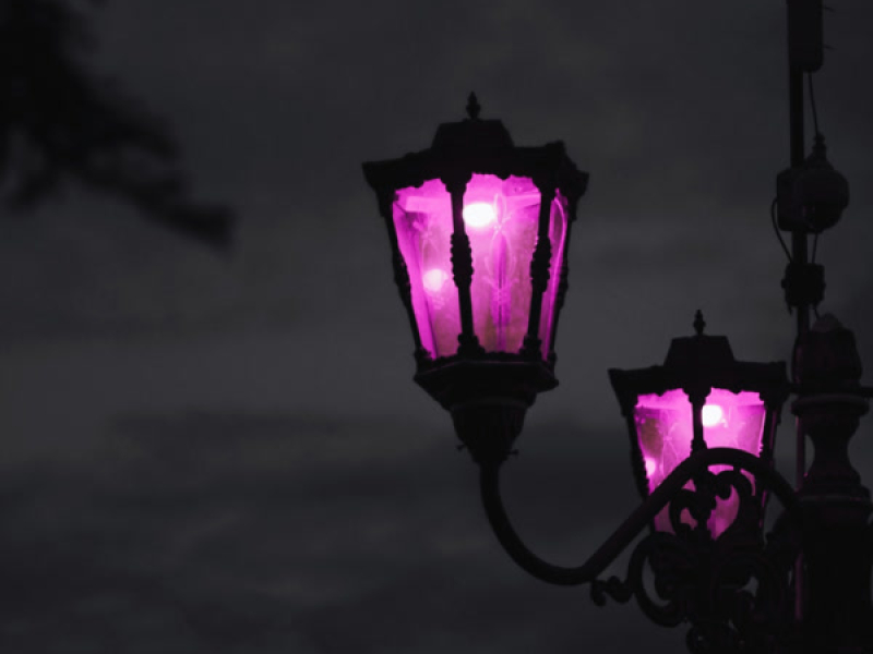 silence of the night (Single)