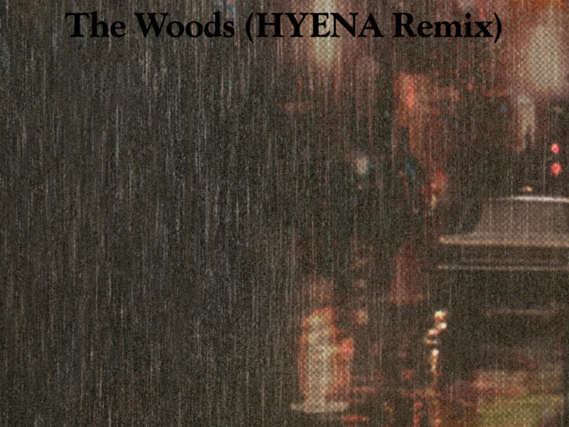 The Woods (HYENA Remix) (Single)