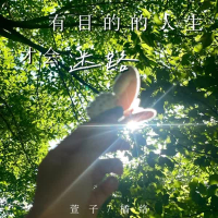 有目的的人生才会迷路 (Single)