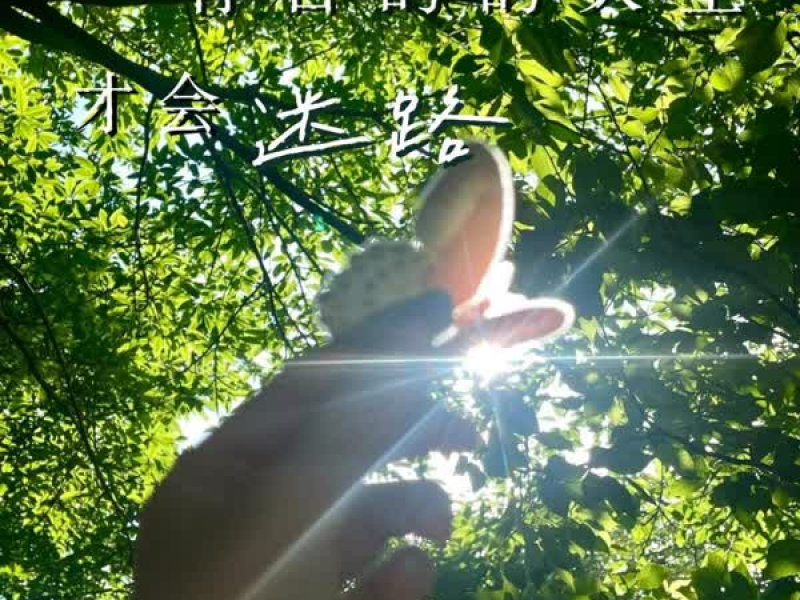 有目的的人生才会迷路 (Single)