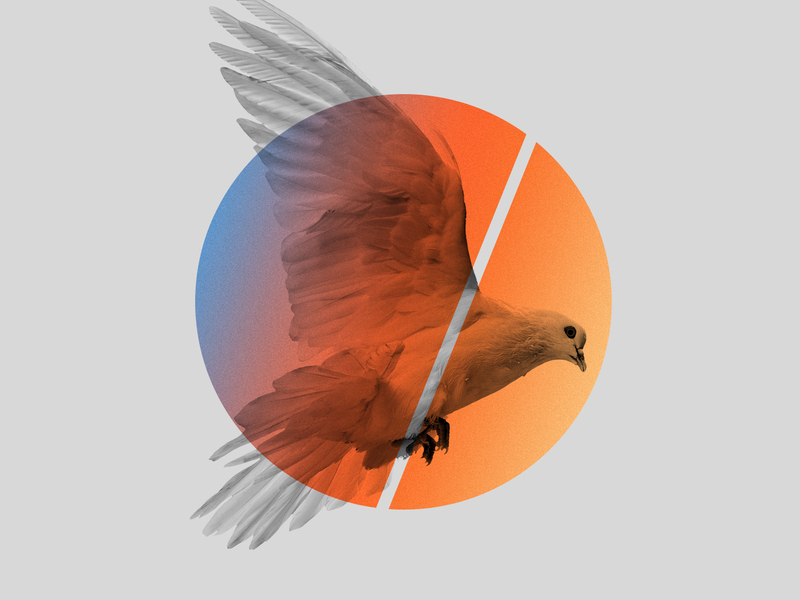 The Seeds You Sow EP (Single)