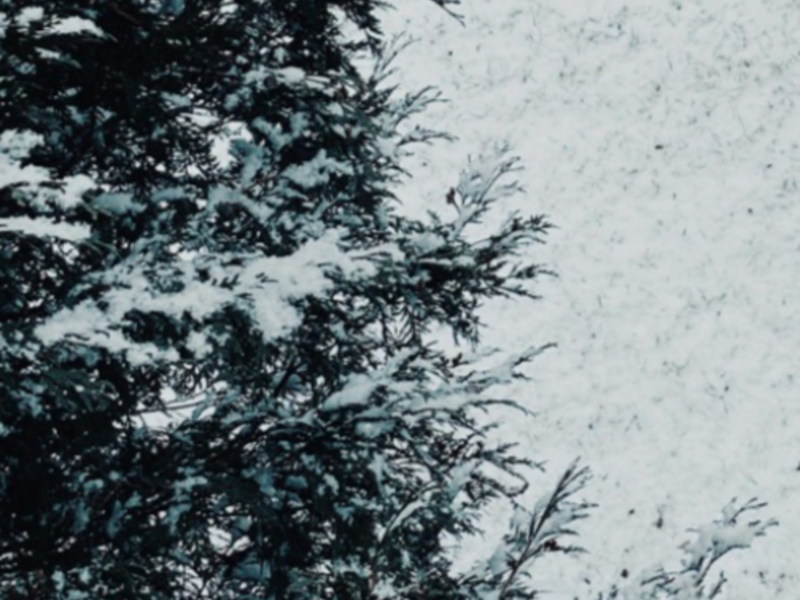 They Say Its Just Seasonal (Single)