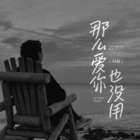 那么爱你也没用 (Single)