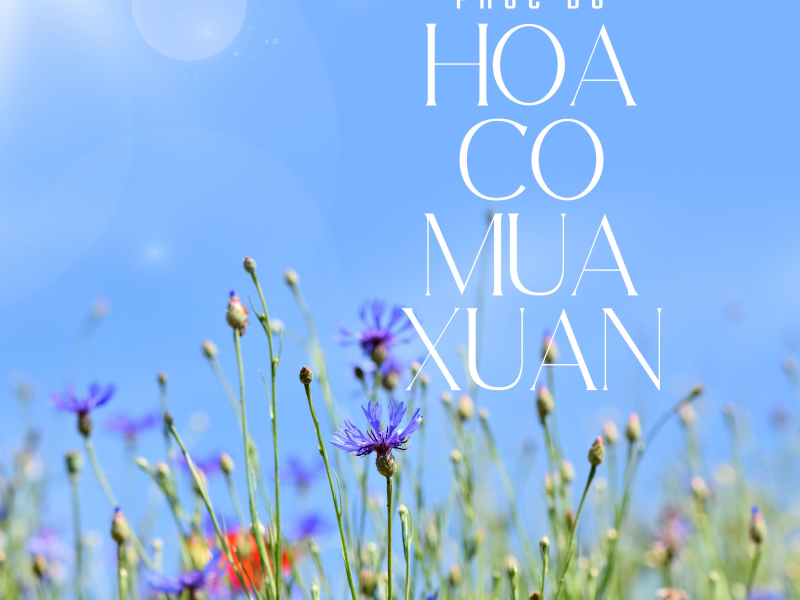 Hoa Cỏ Mùa Xuân (Single)