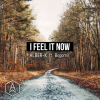 I Feel It Now (feat. Bogomil) (Single)