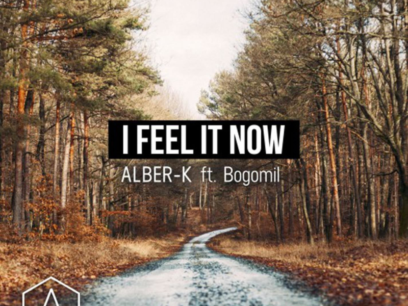 I Feel It Now (feat. Bogomil) (Single)