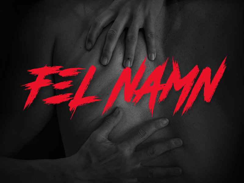 FEL NAMN (Single)