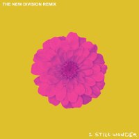 I Still Wonder (The New Division Remix) (Single)