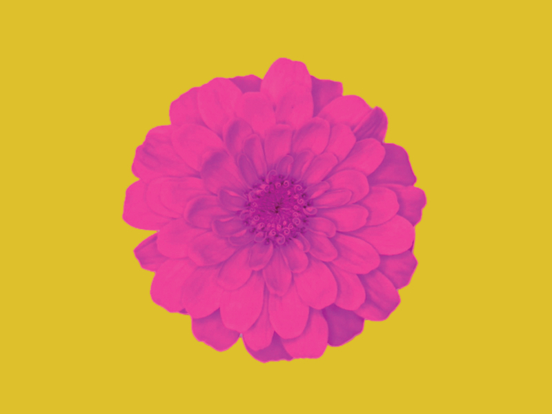 I Still Wonder (The New Division Remix) (Single)