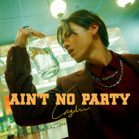 Ain't No Party (Single)