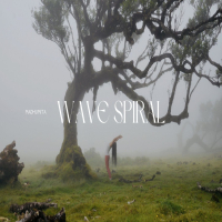 Wave Spiral (Single)
