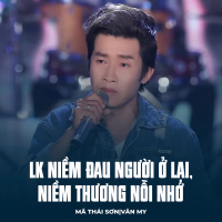 LK Niềm Đau Người Ở Lại, Niềm Thương Nỗi Nhớ (Single)