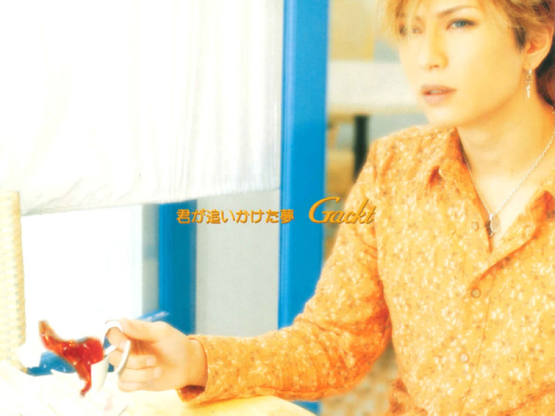 君が追いかけた夢/birdcage (EP)