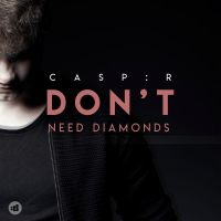 Don't Need Diamonds (Single)