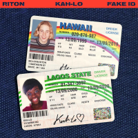Fake I.D (Single)