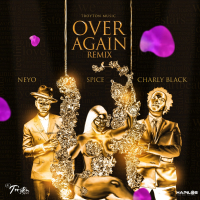 Over Again (Remix) (Single)