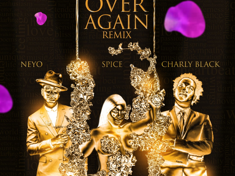 Over Again (Remix) (Single)