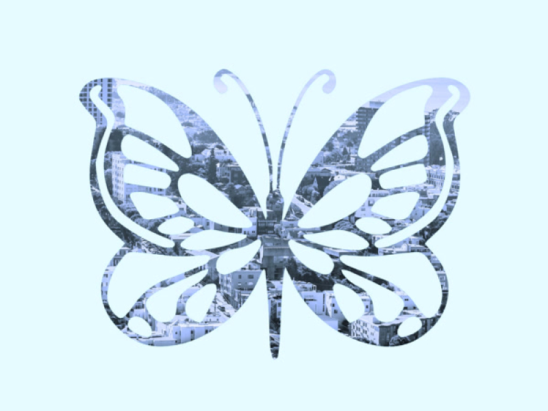 Set the Butterfly Free (4 Mission Blue) (Single)